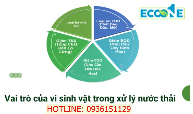 Vai trò của vi sinh vật trong xử lý nước thải